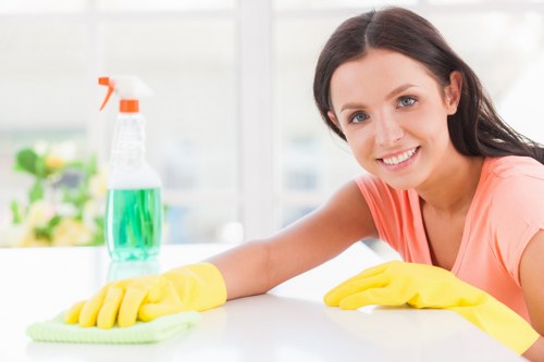 Carpet cleaning in a Wimbledon home interior