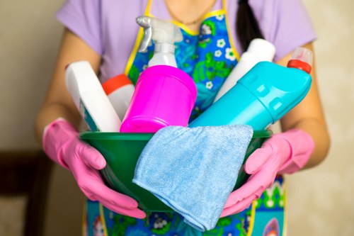 Professional cleaners in Wimbledon working in a modern home