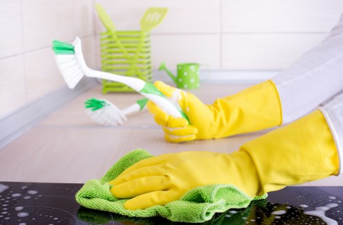 Professional home cleaners in a Wimbledon living room