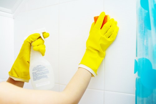 Professional oven cleaning in Wimbledon with deep grease removal