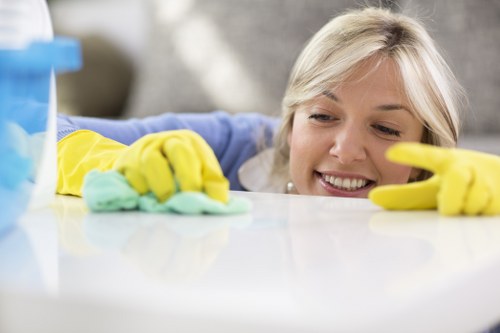 Deep clean of a Wimbledon kitchen and living space