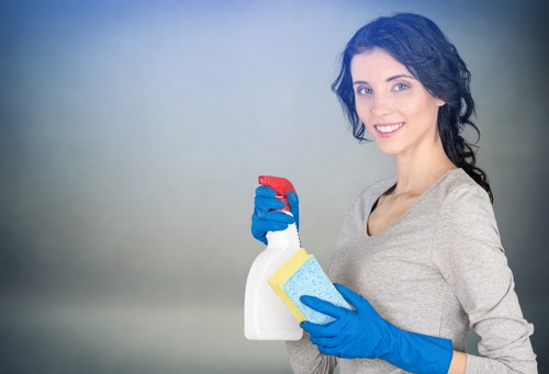 Professional carpet cleaning process with safety focus